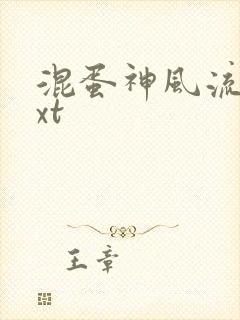 混蛋神风流史txt封面