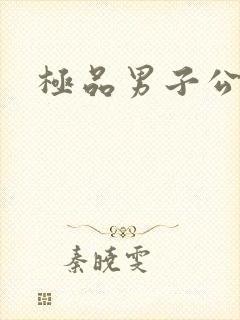 极品男子公寓封面