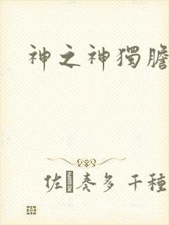 神之神独胆王