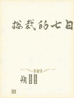 总裁的七日索情