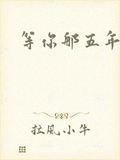等你那五年