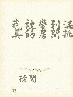 我被带到满是玩具的房间挑调游戏