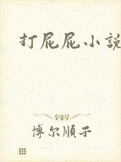 打屁屁小说封面