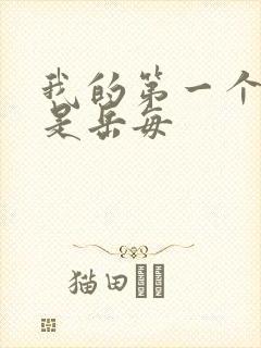 我的第一个女人是岳每封面