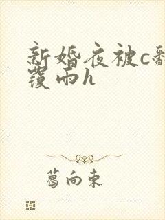 新婚夜被c翻云覆雨h