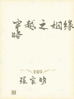 穿越之姻缘劫攻略封面