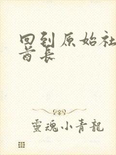 回到原始社会做酋长封面