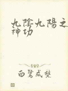 九阴九阳之阴阳神功