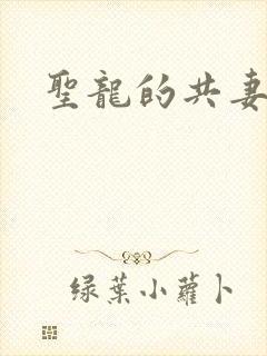 圣龙的共妻