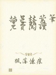 插足林莺笔趣阁免费阅读封面