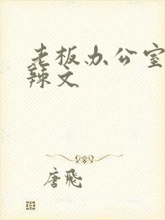 老板办公室系列辣文封面