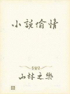 小说偷情