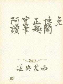 阿宾正传免费阅读笔趣阁