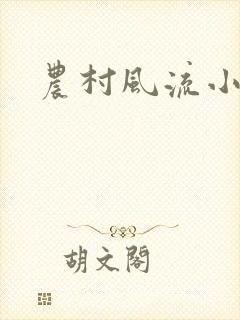农村风流小说
