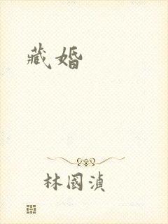 藏婚封面