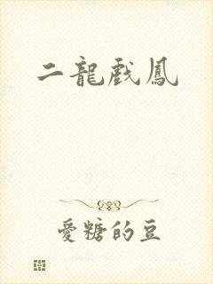 二龙戏凤
