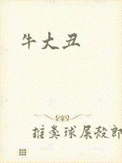 牛大丑封面