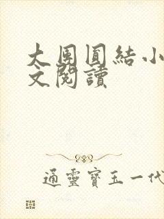 大团圆结小茹全文阅读