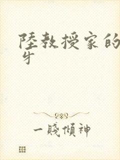 陆教授家的小月牙