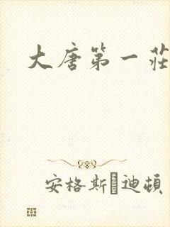 大唐第一庄