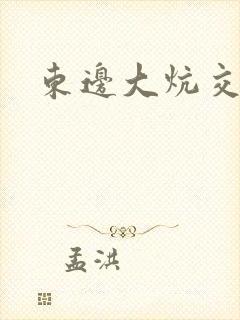 东边大炕交换