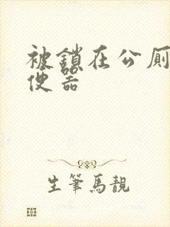 被锁在公厕当坐便器
