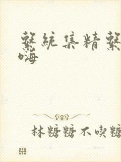系统集精系统高嗨
