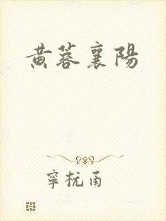黄蓉襄阳
