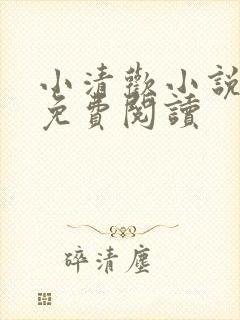 小清欢小说全文免费阅读封面
