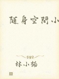 随身空间小说