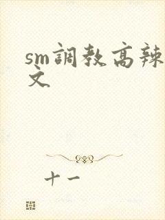 sm调教高辣h文