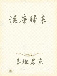 汉唐归来封面