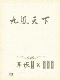 九凤天下封面