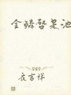 金鳞启是池中物封面