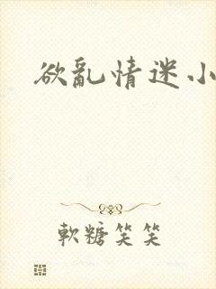 欲乱情迷小说封面