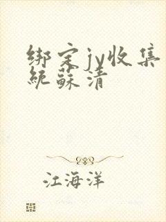 绑定jy收集系统苏清封面