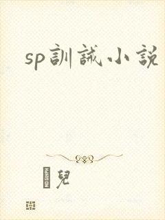 sp训诫小说