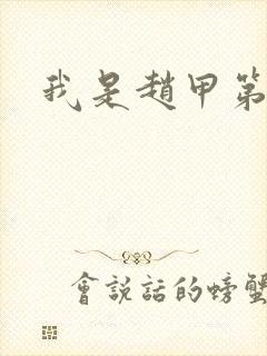 我是赵甲第小说