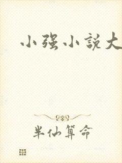 小强小说大全封面