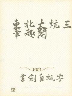东北大炕三部曲笔趣阁