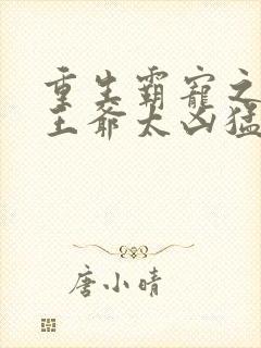 重生霸宠之摄政王爷太凶猛