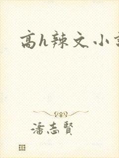 高h辣文小说