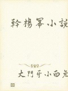 干杨幂小说