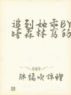 追到她乖BY黑暗森林写的小说