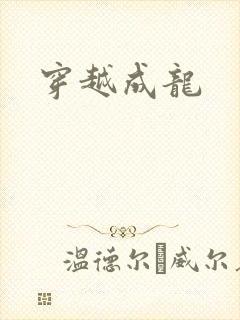 穿越成龙