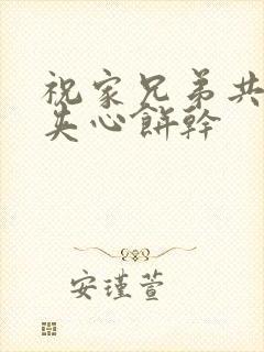 祝家兄弟共享后夹心饼干封面