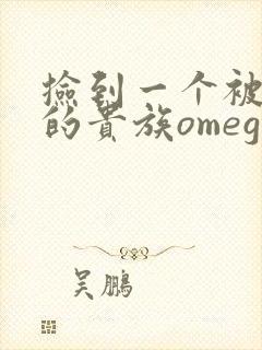 捡到一个被抹布的贵族omega