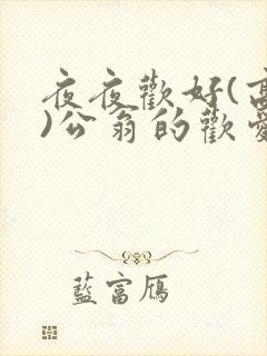 夜夜欢好(高h)公翁的欢爱封面