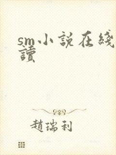 sm小说在线阅读