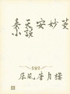 秦天安妙菱修仙小说封面